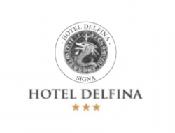 Hotel delfina di cioni carlo e c. snc - Hotel - Signa (Firenze)
