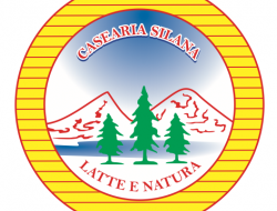 Casearia silana - Caseifici - Rossano (Cosenza)