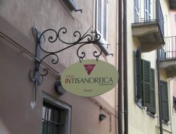 Centro intisanoreica - Benessere centri e studi,Alimenti dietetici e macrobiotici,Consulenze speciali - Varese (Varese)