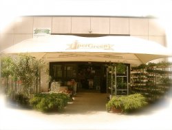 Ipergreen di riccardi sabrina - Agricoltura - attrezzi, prodotti e forniture ,Animali domestici - alimenti ed articoli - Orte (Viterbo)