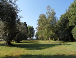 Case vacanze valdilago - Case Vacanze - Bolsena (Viterbo)