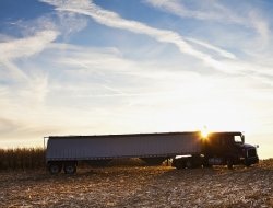Truck service - Officine meccaniche - Perugia (Perugia)
