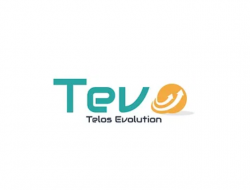 Tevo telos evolution - Consulenza commerciale e finanziaria,Consulenza di direzione ed organizzazione aziendale,Scuole di orientamento, formazione e addestramento professionale - Siena (Siena)