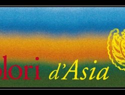 Colori d'asia di bollasina regina c. sas - Artigianato tipico - Sumirago (Varese)