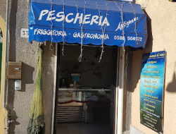 Pescheria antignano snc - Pescherie - Livorno (Livorno)