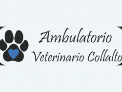 Ambulatorio veterinario associato dottori f. de biasio l. zorat - Veterinaria - ambulatori e laboratori - Tarcento (Udine)