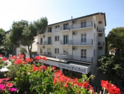 Felsinea hotel - Alberghi - Rimini (Rimini)