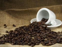 Coffeemania - Torrefazioni caffè - Campi Bisenzio (Firenze)