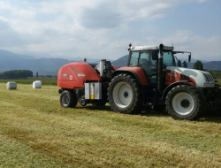 Magliano luigi - Agricoltura - attrezzi, prodotti e forniture - Peveragno (Cuneo)