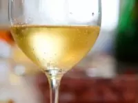 Mezzetti rino vini uve acque gassate enologia macchine e prodotti produzione e ingrosso