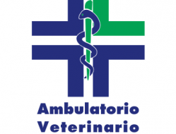 Ambulatorio veterinario levante - Veterinari - Chiavari (Genova)