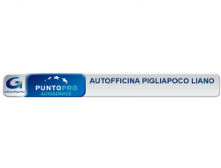 Pigliapoco liano autofficina - Autofficine e centri assistenza - Osimo (Ancona)
