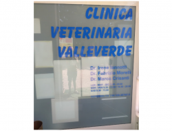 Clinica veterinaria valleverde - Veterinari - Terni (Terni)