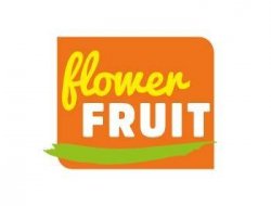Flower fruit - Alimentari - produzione e ingrosso - Salerno (Salerno)