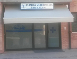 Clinica veterinaria borgo nuovo - Veterinari - Follonica (Grosseto)