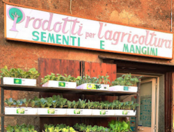 Sementi e mangimi giovanale roberto - Agricoltura - attrezzi, prodotti e forniture - Nepi (Viterbo)