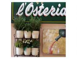 L'osteria - Ristoranti - trattorie ed osterie - Monterosso al Mare (La Spezia)