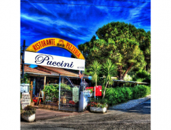 Ristorante puccini - Ristoranti - Capoliveri (Livorno)