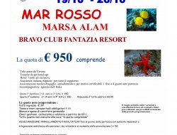 Pianeta azzurro - Agenzie viaggi e turismo - Arezzo (Arezzo)