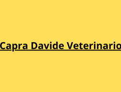 Clinica veterinaria capra davide - Veterinari - Piacenza (Piacenza)