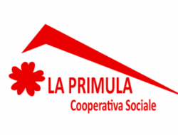 La primula edilizia - Cooperative edili - Savona (Savona)