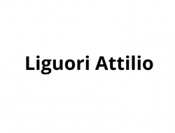 Liguori attilio - Periti danni e infortunistica stradale - Napoli (Napoli)