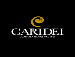 Caridei bros.gloves - Guanti - produzione e commercio - Napoli (Napoli)