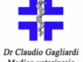 Opinioni degli utenti su DR. CLAUDIO GAGLIARDI AMBULATORIO VETERINARIO