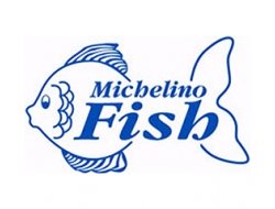 Michelino fish - Pescherie - Roma (Roma)