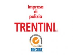 Impresa di pulizie trentini elvira - Imprese pulizia - Prato (Prato)