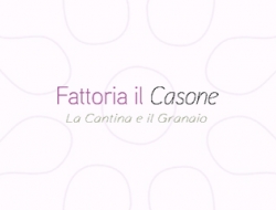 Fattoria il casone - Ristorazione collettiva e catering - Rosignano Marittimo (Livorno)