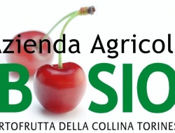 Ortofrutta di bosio michele - Agricoltura - attrezzi, prodotti e forniture - Pecetto Torinese (Torino)