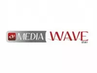Media wave store componenti elettronici