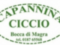 Opinioni degli utenti su Ristorante Capannina Ciccio